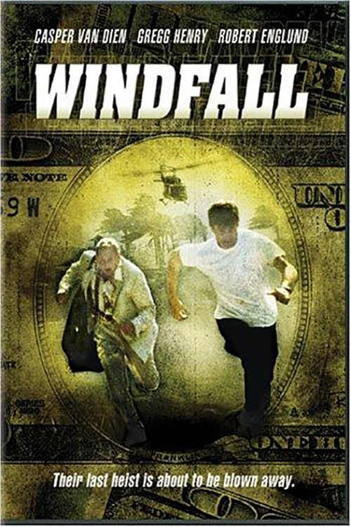 Постер Windfall